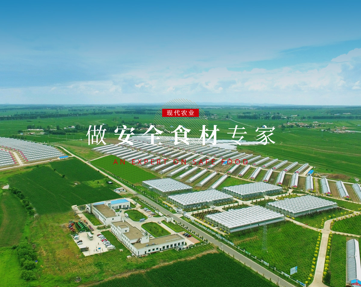 banner5_p9615812 PG电子·仿照器(试玩游戏)官方网站